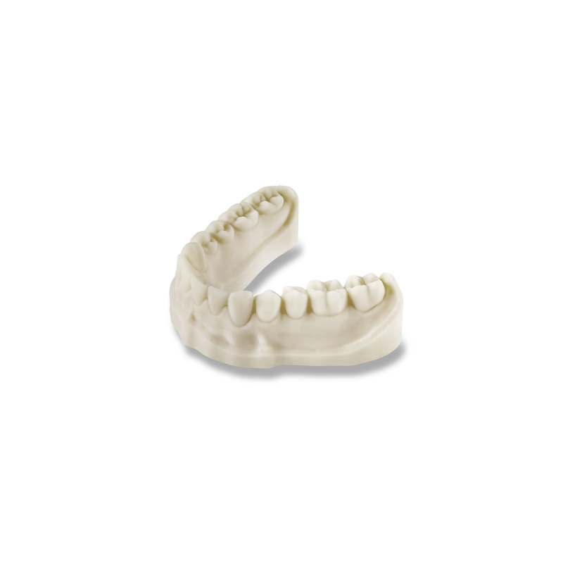 DIVARIO® 3D Model Dental-Resin