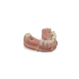 DIVARIO® 3D Model Dental-Resin